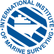 The Inter... icon