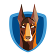 WordPress... icon