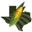 Texas Cor... icon