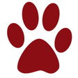 Canine Ca... icon