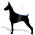 Doberman ... icon