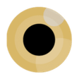 Nokest icon
