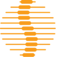 Internati... icon
