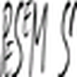 Pesem.si icon