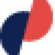 Website P... icon