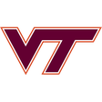 Virginia ... icon
