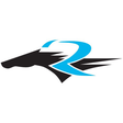 Racing Ne... icon