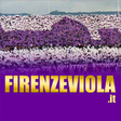 Firenze V... icon