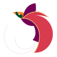 Air Niugini icon