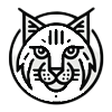 Big Cat R... icon