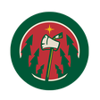 Minnesota... icon