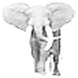 TideFans.com icon