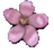 Latest li... icon
