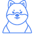 Shibtee C... icon