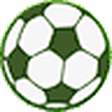 swiatpilk... icon