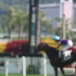 Flameracing icon