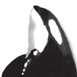 The Journ... icon