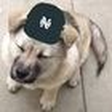 Baseballs... icon