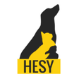 HESY icon