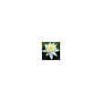 RICO CREA... icon