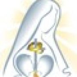 Proyecto ... icon