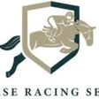 Horse Rac... icon