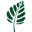 One Green... icon
