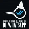SpunteBlu icon