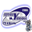 TY4stroke... icon