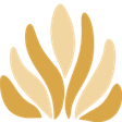 News Maven icon