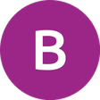 The Birmi... icon