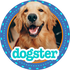 Dogster icon