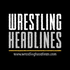 Wrestling... icon