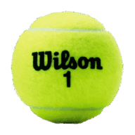 Tennis Now icon